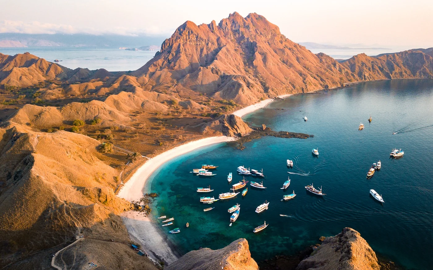 Komodo Efective