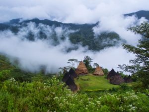 Wae Rebo Open Trip