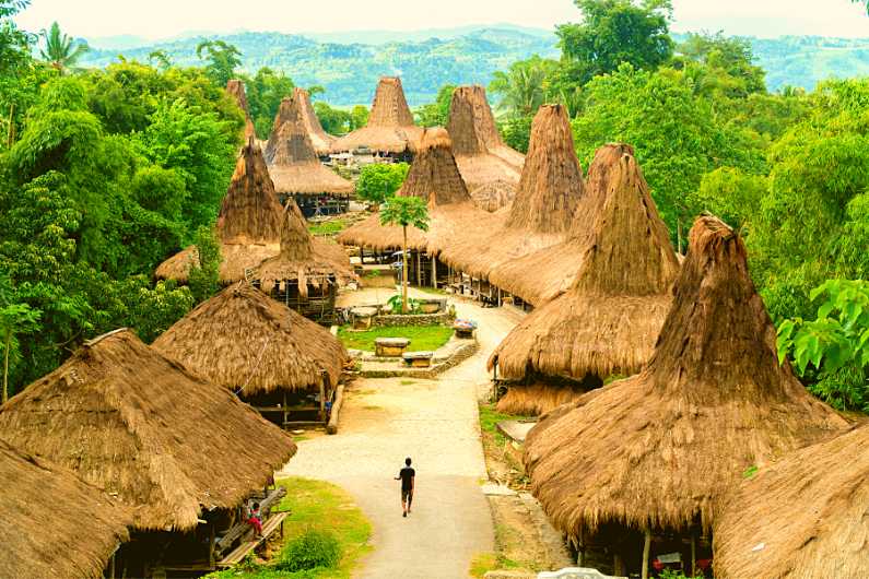 flores Overland