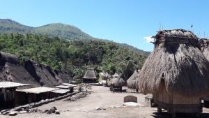 bena-traditional-village