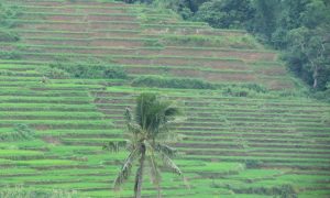 flores-overland-tour-2