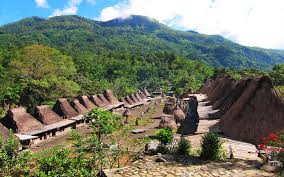 Flores Explore Tour