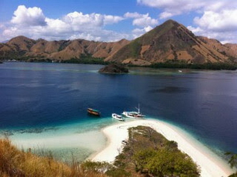 Rinca Komodo Islands