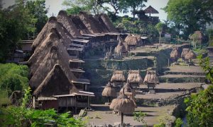 Flores Expedition