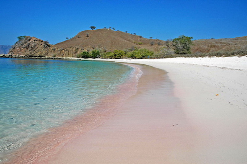 pink beach tour