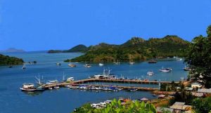 komodo-tour_49 (1)
