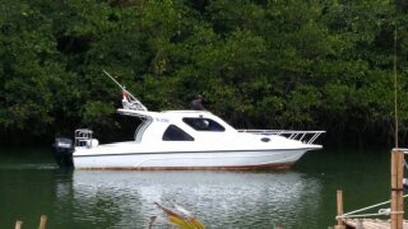 Rinca Island Tour