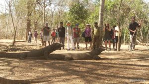 sharing-trip-komodo-2_resize