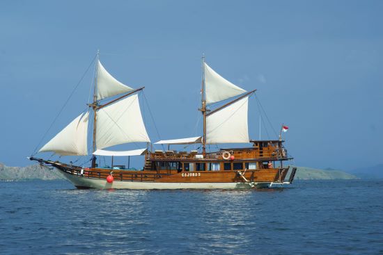 Cajoma 3